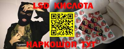 стаф Кунгур