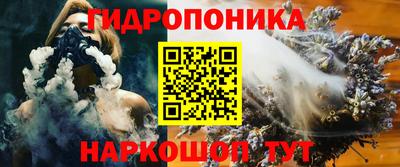 стаф Кунгур