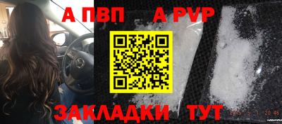 стаф Кунгур