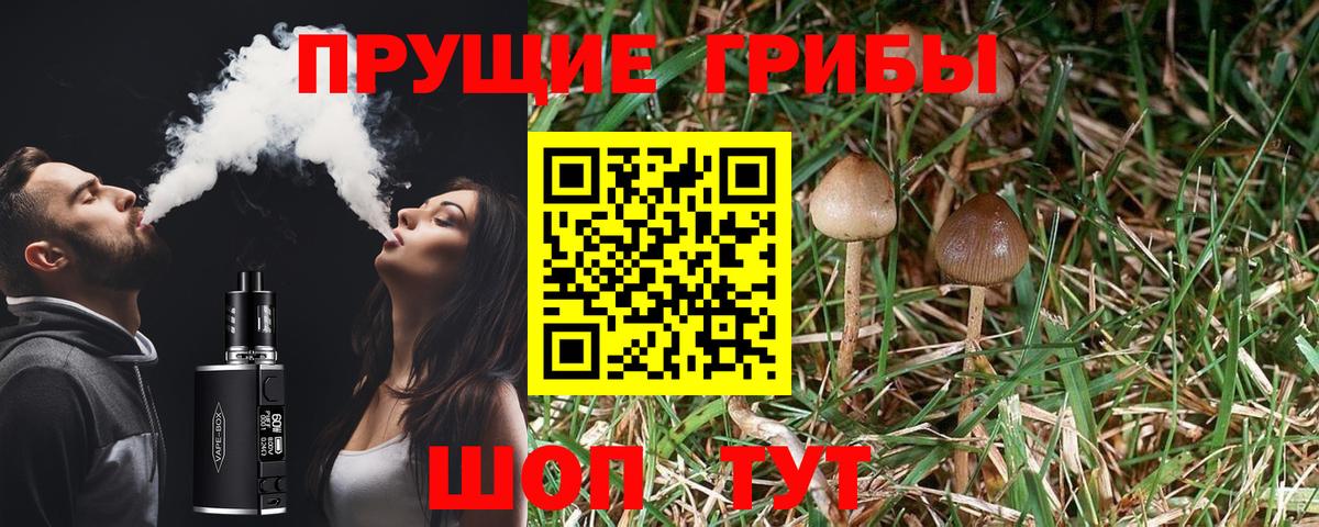 Псилоцибиновые грибы ЛСД  Вход с VPN  Иваново 