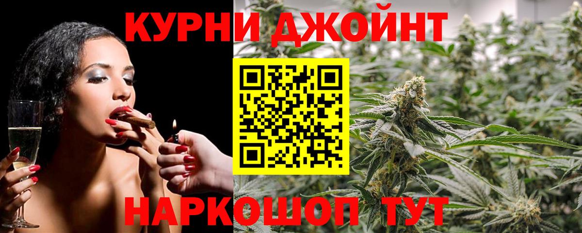 Каннабис конопля Иваново